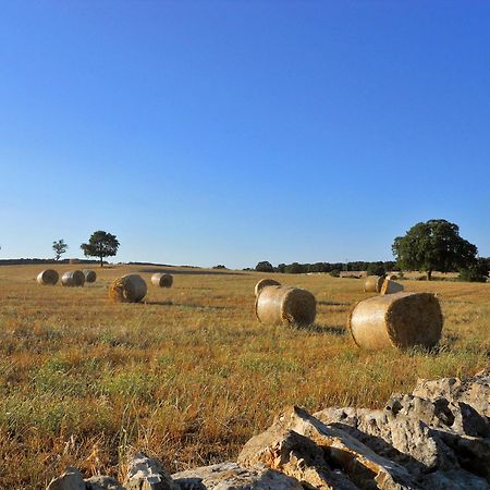 Agriturismo Masseria Casa Busciana 알베르벨로 외부 사진